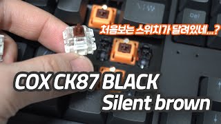 가성비 저소음 키보드 COX CK87 저소음 갈축 리뷰 [upl. by Adnaral24]