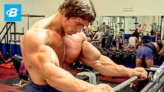 How To Train For Mass  Arnold Schwarzeneggers Blueprint Training Program [upl. by Ayle805]