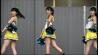 常磐大学高等学校チアダンス部7回『Sweet Talk』ときわ祭2017 [upl. by Oecam]