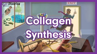 Collagen Synthesis USMLE Mnemonic Preview [upl. by Angelika319]