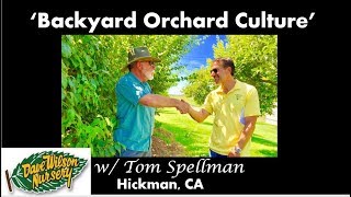 How To Care For Backyard Orchard Fruit Trees  BACKYARD ORCHARD CULTURE  Dave Wilson Nursery [upl. by Lokim]