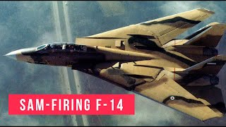 How Iran strapped SAMs to F14 Tomcats [upl. by Andreana84]