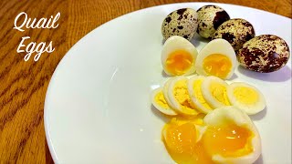 How To Boil Perfect Quail Eggs  Soft to Hard Boiled Guide [upl. by Coe763]