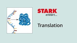 Translation Proteinbiosynthese  STARK erklärt [upl. by Odlonra645]