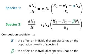 Modelling Interspecific Competition [upl. by Gnok]