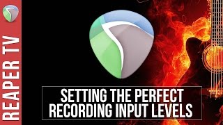 REAPER Setting Optimal Recording Levels [upl. by Ybab]