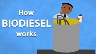 How Biodiesel Works [upl. by Nelleyram165]