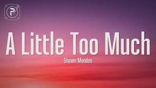 Shawn Mendes  A Little Too Much Lyrics [upl. by Nya]