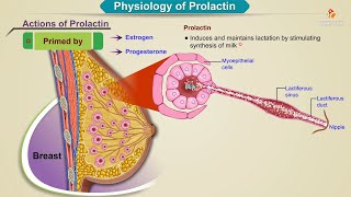 Pregnancy How to conceive when prolactin levels are high  Dr Nupur Sood [upl. by Elatia]