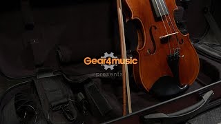 Stentor Arcadia Violin Outfit With Pirastro Evah Pirazzi String Setup  Gear4music [upl. by Morven]