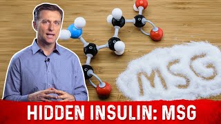 The Hidden Insulin MSG – Monosodium Glutamate Explained by DrBerg [upl. by Sirraf787]