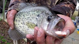 Crappie Fishing With A Bobber and Live Minnows [upl. by Aietal]