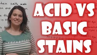 Acidic vs Basic Stains in Microbiology [upl. by Yerdna]