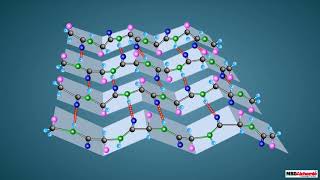 Proteins and their Structure [upl. by Eiramanin]