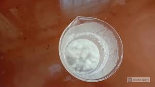 Preparation of Phenol Formaldehyde Resin [upl. by Augusta]