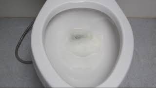 Toilet Flushing Performance Issues [upl. by Eduardo]