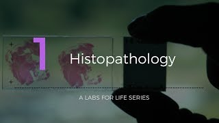 Histopathology [upl. by Adilem]