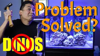 Reef Tank Dinoflagellate Problem  Dino Mistakes Solutions and Lessons Learned [upl. by Winne175]