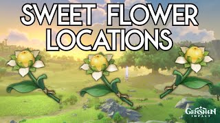 Sweet Flower Locations  Genshin Impact [upl. by Gruver]