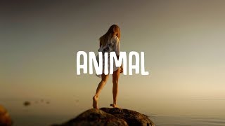 Vicetone  Animal Lyrics ft Jordan Powers amp Bekah Novi [upl. by Aken]