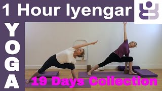 One Hour Iyengar Yoga Class  19 Days of Yoga Collection [upl. by Enirehtahc]