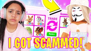 Can I CATCH THE SCAMMER Who STOLE MY MEGA DREAM PETS In Adopt Me Roblox [upl. by Zack]