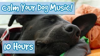 How to Calm Your Dog Down Music Relaxing Music for Dogs to Stop Anxiety and Help Keep them Calm 🐶 [upl. by Luapnaej]