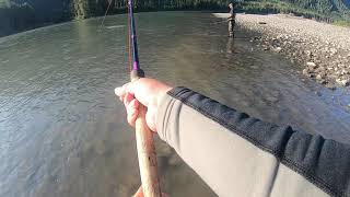 Skeena steelhead fishing July 2019 [upl. by Ahsyla948]