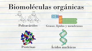 Componentes químicos de las células  Medicina en 5 MINUTOS [upl. by Savdeep]