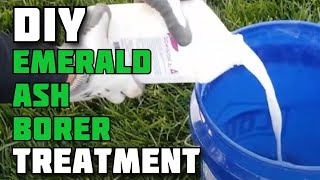 DIY Emerald Ash Borer Treatment  Treating Ash Trees for Emerald Ash Borer Yourself  EAB Treatment [upl. by Amsirp201]