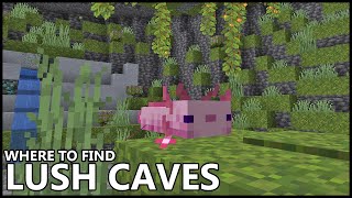 Where To Find LUSH CAVE BIOMES In MINECRAFT [upl. by Aznaed595]