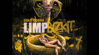 Limp Bizkit  Bring It Back Gold Cobra 2011 HDHQ [upl. by Dina506]