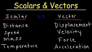 Scalars and Vectors [upl. by Yrrol]