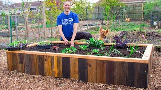 How to Build a RAISED BED Using PALLETS FREE Backyard Gardening [upl. by Dlared]