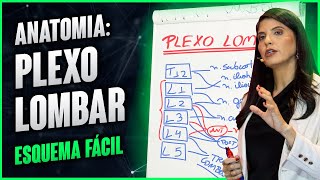 ANATOMIA PLEXO LOMBAR esquema fácil  Dra Walkyria Fernandes [upl. by Ahterahs]