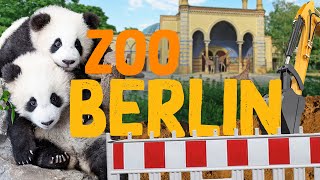 Zoo Berlin  Zoo Eindruck [upl. by Fabien]