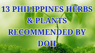 13 PHILIPPINES HERBS amp PLANTS RECOMMENDED BY DOH [upl. by Grefe]