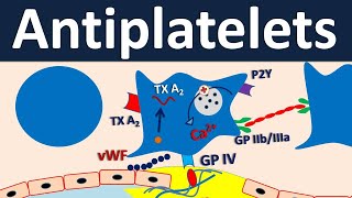 Antiplatelets  Pharmacology in easy way [upl. by Idelia]