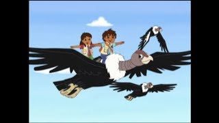 Go Diego Go  Three Little Condors [upl. by Labotsirhc]