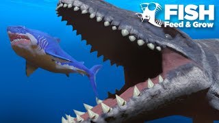 MOSASAUR vs MEGALODON  Fish Feed Grow [upl. by Ahsenahs418]