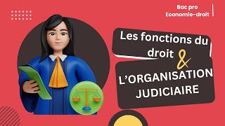 Les fonctions du droit et lorganisation judiciaire [upl. by Sang237]