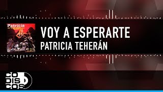 Voy A Esperarte Patricia Teherán Vídeo Letra [upl. by Eilesor891]