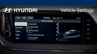 Vehicle Settings  Hyundai [upl. by Anoval]