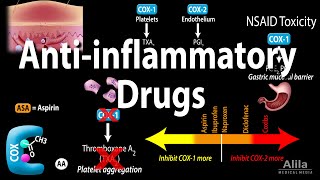 Antiinflammatory NSAIDs Drugs Pharmacology Animation [upl. by Clayborn]