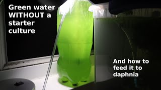 Green Water WITHOUT a Starter Culture  From Scratch  How To [upl. by Awahsoj269]