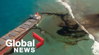 Mauritius oil spill Experts fear catastrophic ecological disaster [upl. by Colan491]