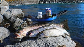 Catch n Cook Rainbow Trout Fish Sandwiches [upl. by Attesor]