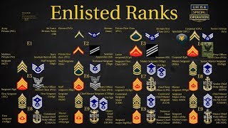 US Military All Branches ENLISTED Ranks Explained [upl. by Sidoma524]