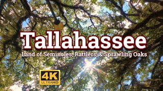 Tallahassee  Land of Seminoles Rattlers and Sprawling Oaks [upl. by Arimaj]