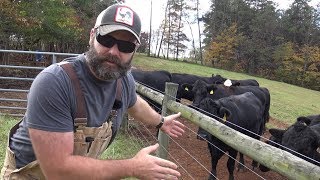 CATTLE FENCING IDEAS FOR YOUR FARMRANCH [upl. by Sheets]